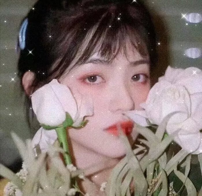 男神恋爱系统·动态漫封面