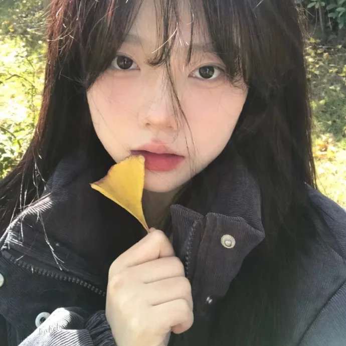 君子好逑封面